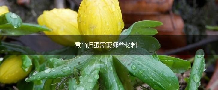煮当归蛋需要哪些材料,第1张