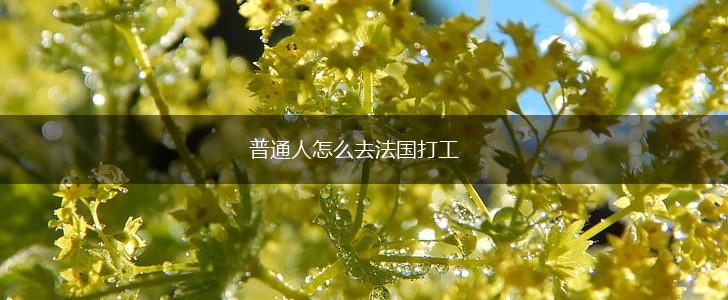 普通人怎么去法国打工,第1张