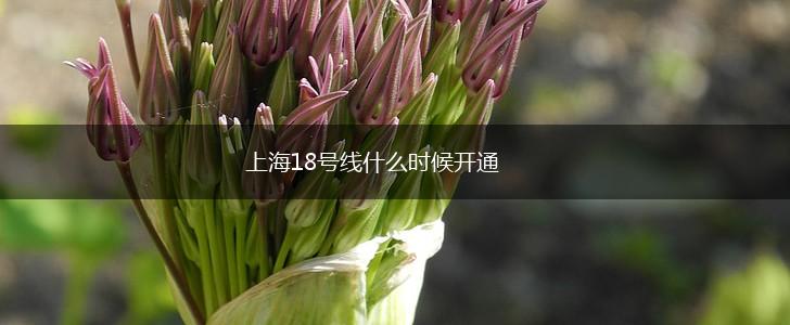 上海18号线什么时候开通,第1张