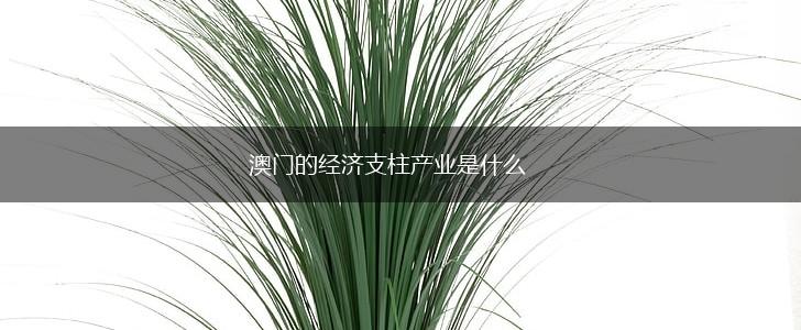 澳门的经济支柱产业是什么,第1张