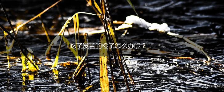吃了发苦的橙子怎么办呢？,第1张