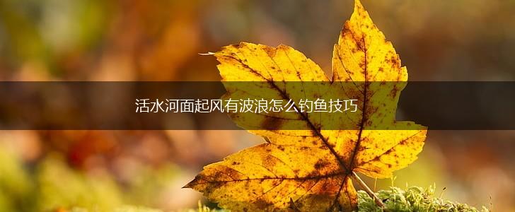 活水河面起风有波浪怎么钓鱼技巧,第1张