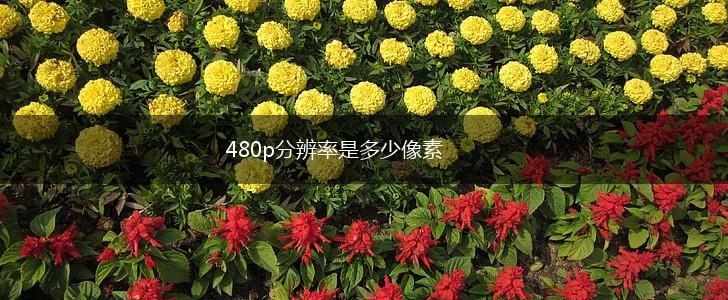 480p分辨率是多少像素,第1张
