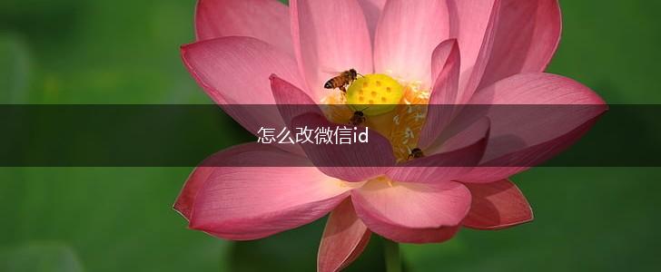 怎么改微信id,第1张