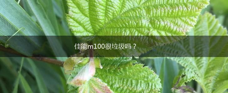 佳能m100很垃圾吗？,第1张