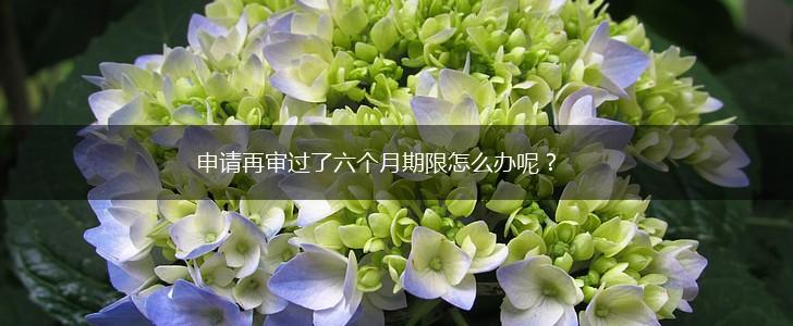 申请再审过了六个月期限怎么办呢?,第1张 申请再审过了六个月期限怎么办呢?,第1张