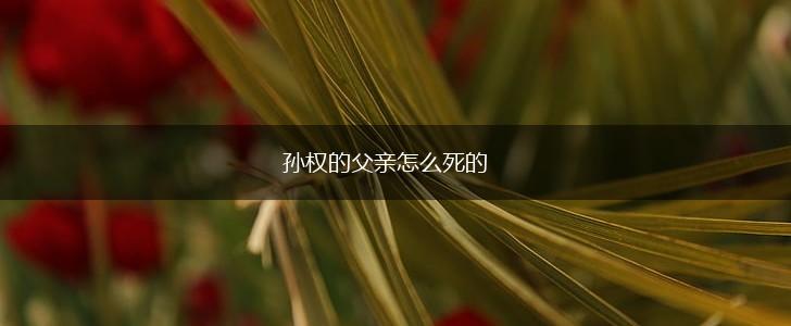 孙权的父亲怎么死的,第1张