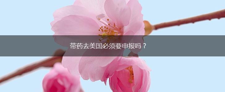 带药去美国必须要申报吗？,第1张
