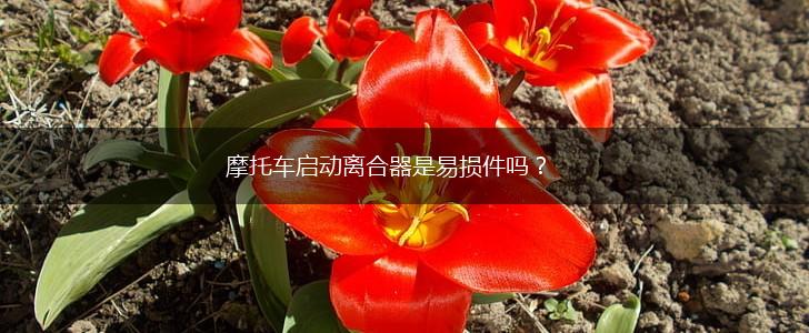 摩托车启动离合器是易损件吗？,第1张