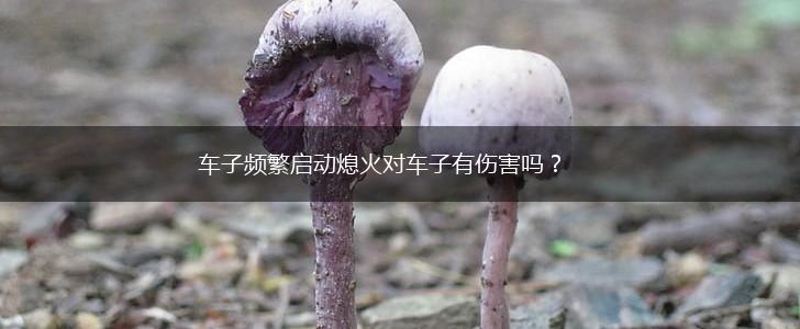 车子频繁启动熄火对车子有伤害吗？,第1张