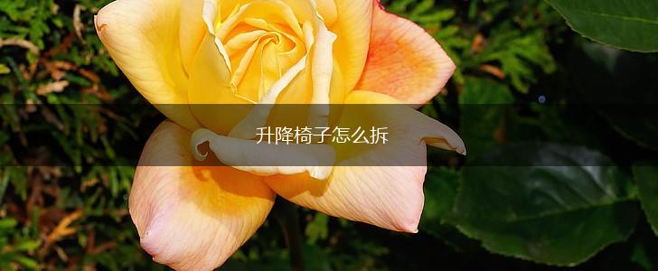升降椅子怎么拆,第1张