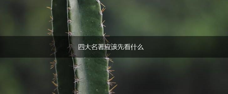 四大名著应该先看什么,第1张