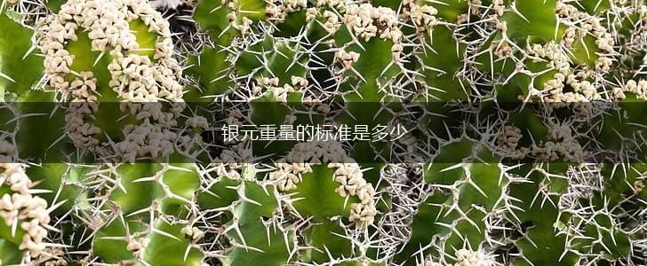 银元重量的标准是多少,第1张