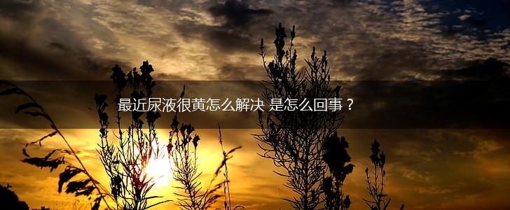 最近尿液很黄怎么解决 是怎么回事？,第1张