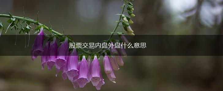股票交易内盘外盘什么意思,第1张
