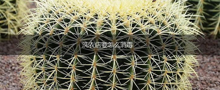 洗衣店要怎么消毒,第1张