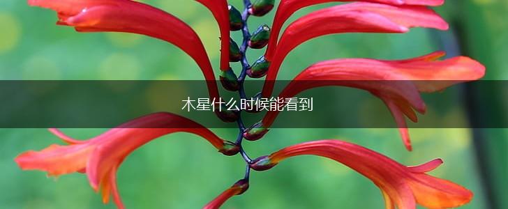 木星什么时候能看到,第1张