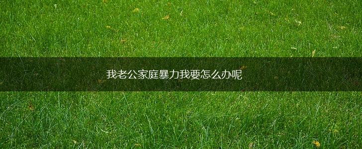 我老公家庭暴力我要怎么办呢,第1张