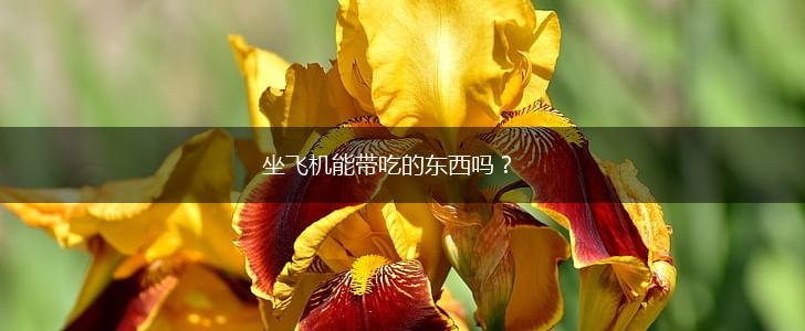 坐飞机能带吃的东西吗？,第1张
