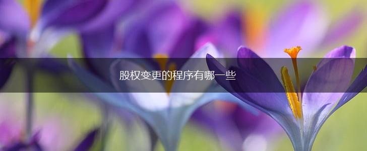股权变更的程序有哪一些,第1张