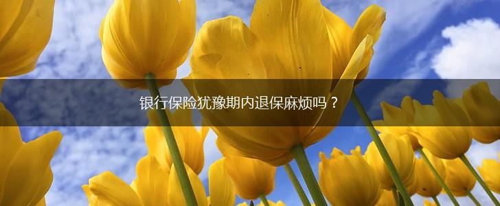 银行保险犹豫期内退保麻烦吗？,第1张