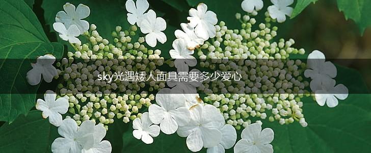 sky光遇矮人面具需要多少爱心,第1张