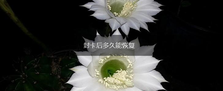 封卡后多久能恢复,第1张