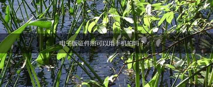 电子版证件照可以用手机拍吗？,第1张