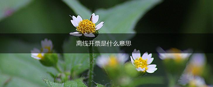 离线开票是什么意思,第1张