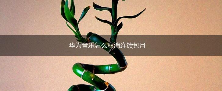 华为音乐怎么取消连续包月,第1张