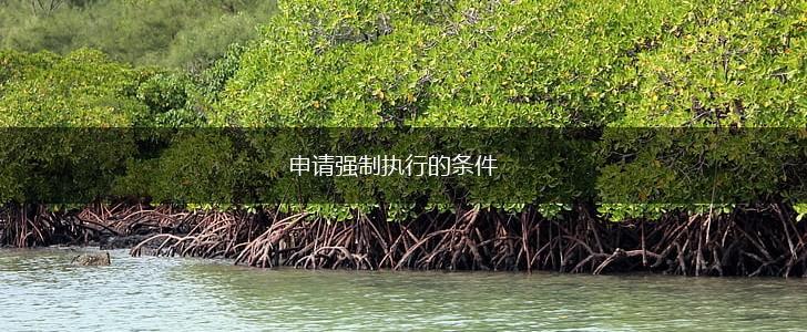 申请强制执行的条件,第1张
