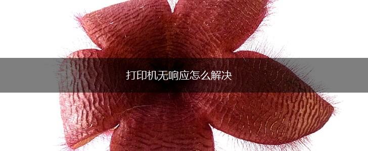 打印机无响应怎么解决,第1张