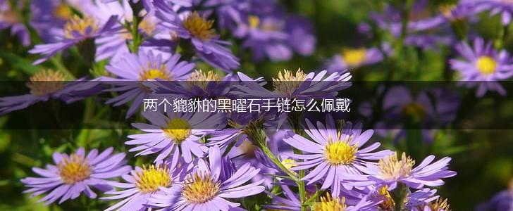 两个貔貅的黑曜石手链怎么佩戴,第1张