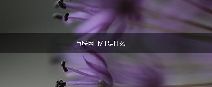 互联网TMT是什么,第1张
