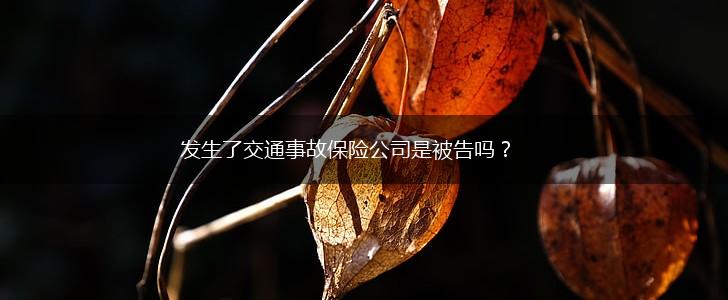 发生了交通事故保险公司是被告吗?,第1张 发生了交通事故保险公司是被告吗?,第1张