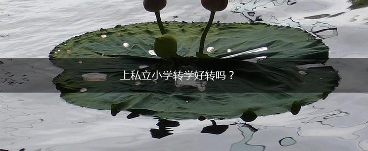 上私立小学转学好转吗？,第1张