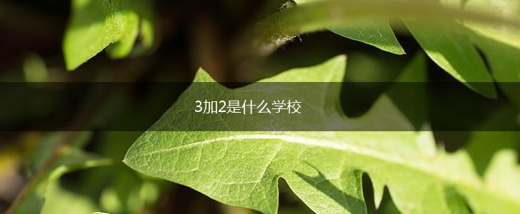 3加2是什么学校,第1张