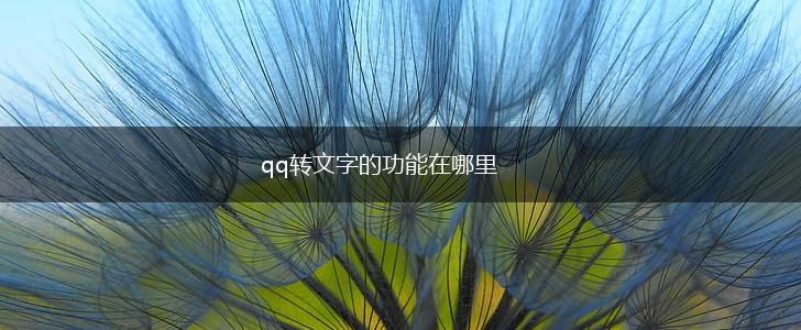 qq转文字的功能在哪里,第1张