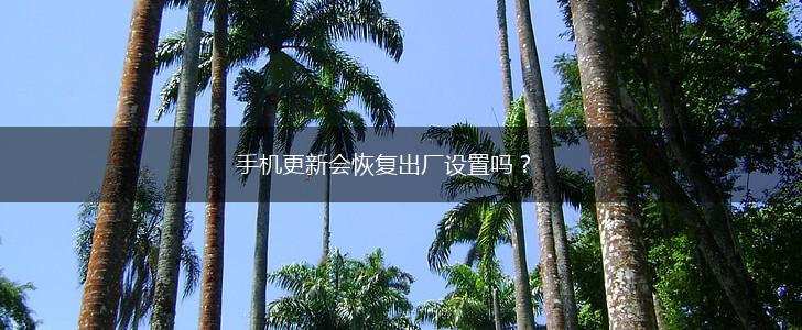 手机更新会恢复出厂设置吗？,第1张