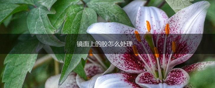 镜面上的胶怎么处理,第1张