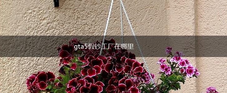 gta5假钞工厂在哪里,第1张