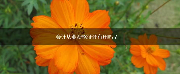 会计从业资格证还有用吗？,第1张