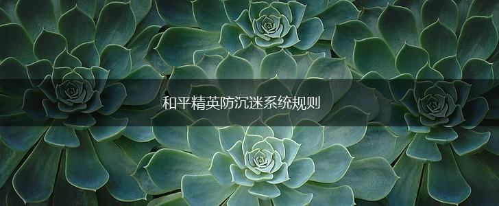 和平精英防沉迷系统规则,第1张