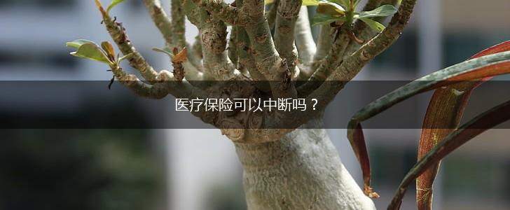 医疗保险可以中断吗?,第1张 医疗保险可以中断吗?,第1张