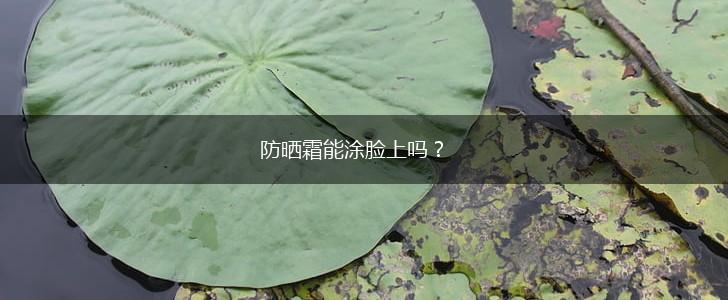 防晒霜能涂脸上吗？,第1张