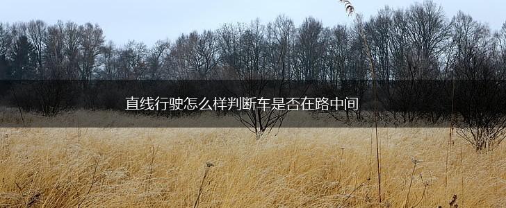 直线行驶怎么样判断车是否在路中间,第1张
