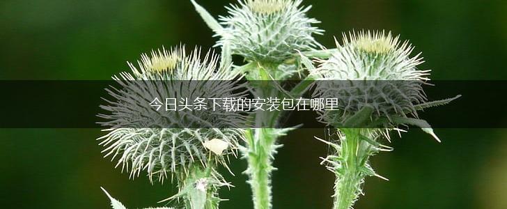 今日头条下载的安装包在哪里,第1张