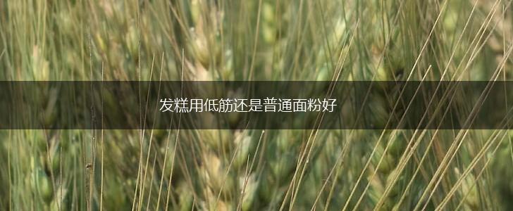 发糕用低筋还是普通面粉好,第1张