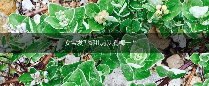 女宝发型绑扎方法有哪一些,第1张