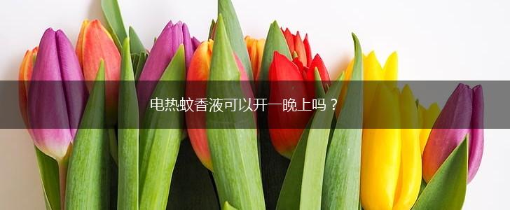 电热蚊香液可以开一晚上吗？,第1张